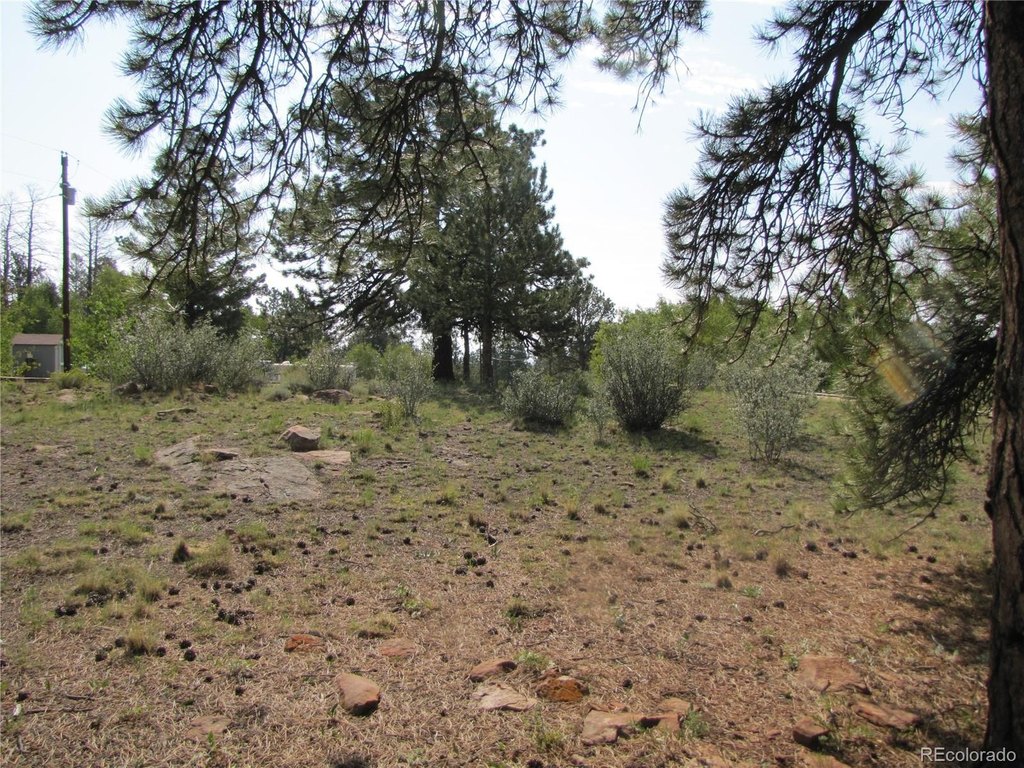 Picture 11