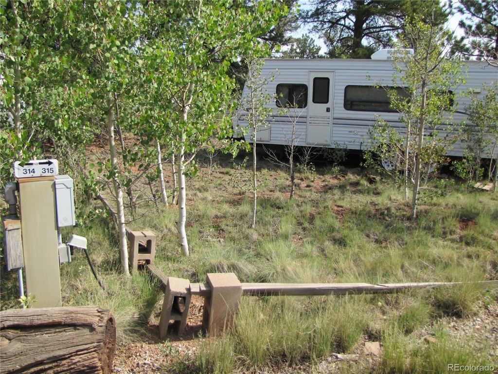 Picture 3