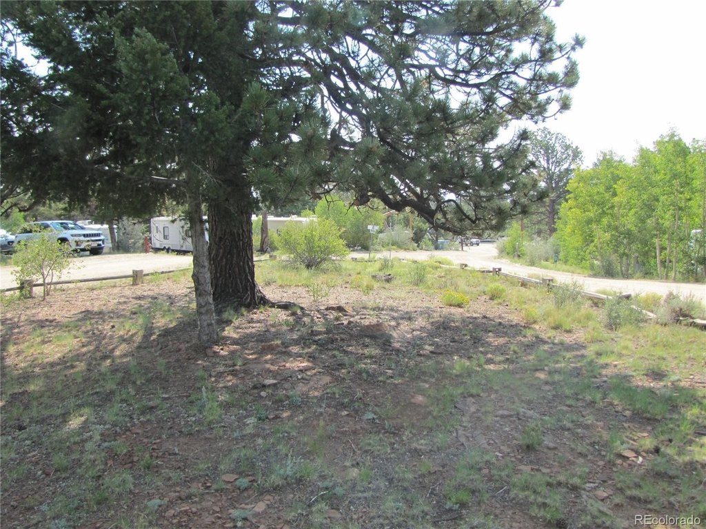 Picture 17