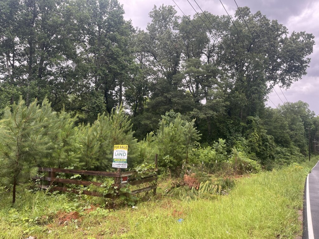 Picture 21