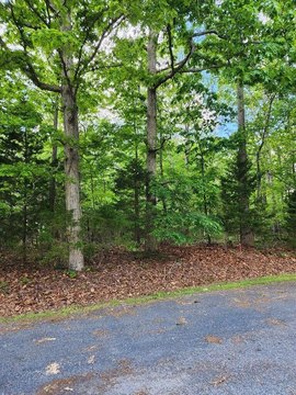 Land, GREENBACKVILLE, VA