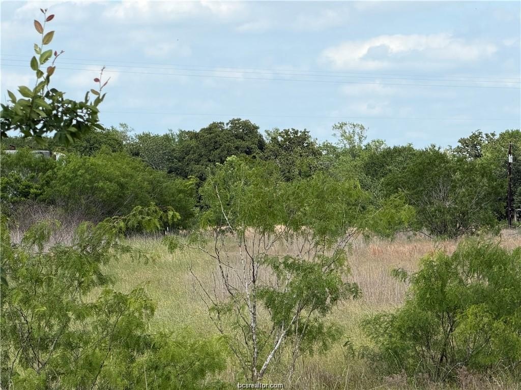 Picture 5