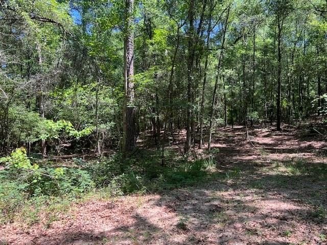 Wooded Lot in Established Subdivision