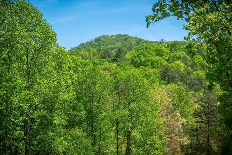 Waterfront Homesite with Creek Frontage
