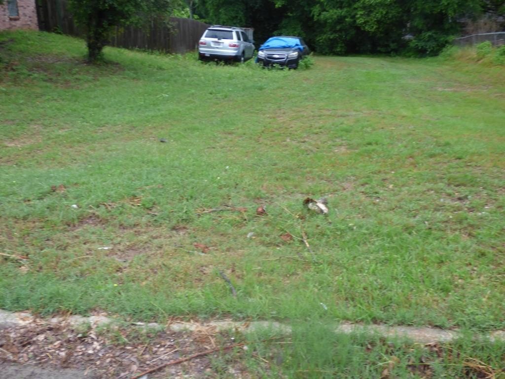 Picture 3