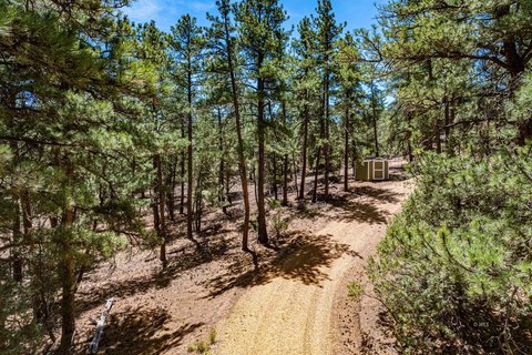Stunning Cotopaxi Land Parcel
