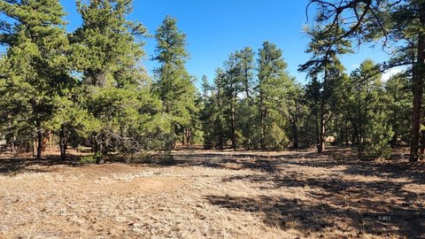 Stunning Cotopaxi Land Parcel