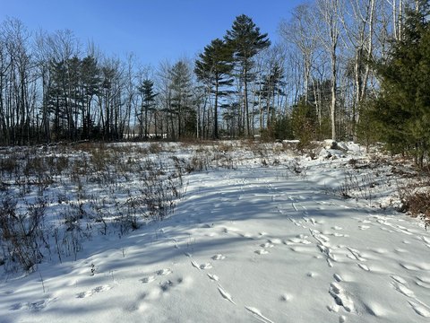 Rockport Land Ready to Build