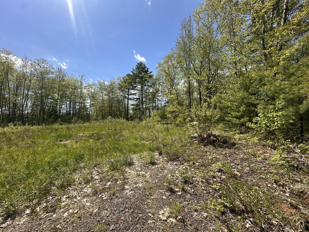 Picture 9
