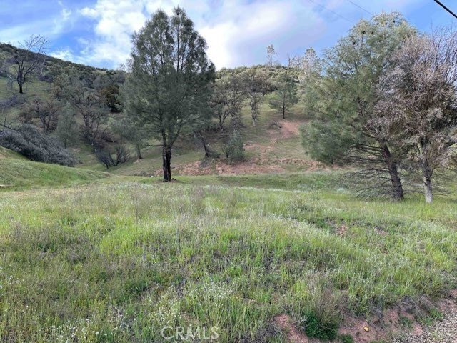 8 Acres of Rolling Hills