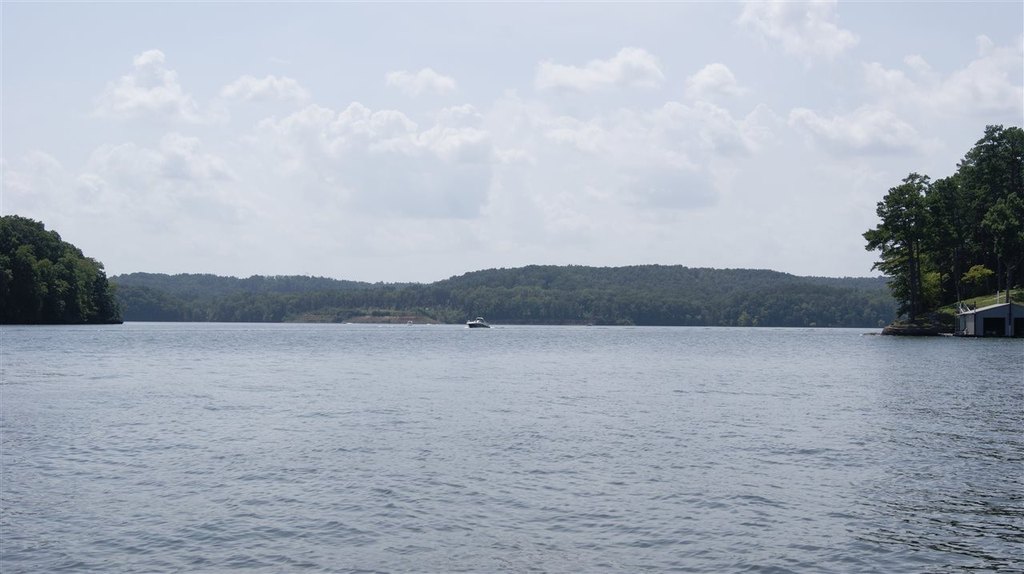 Picture 21