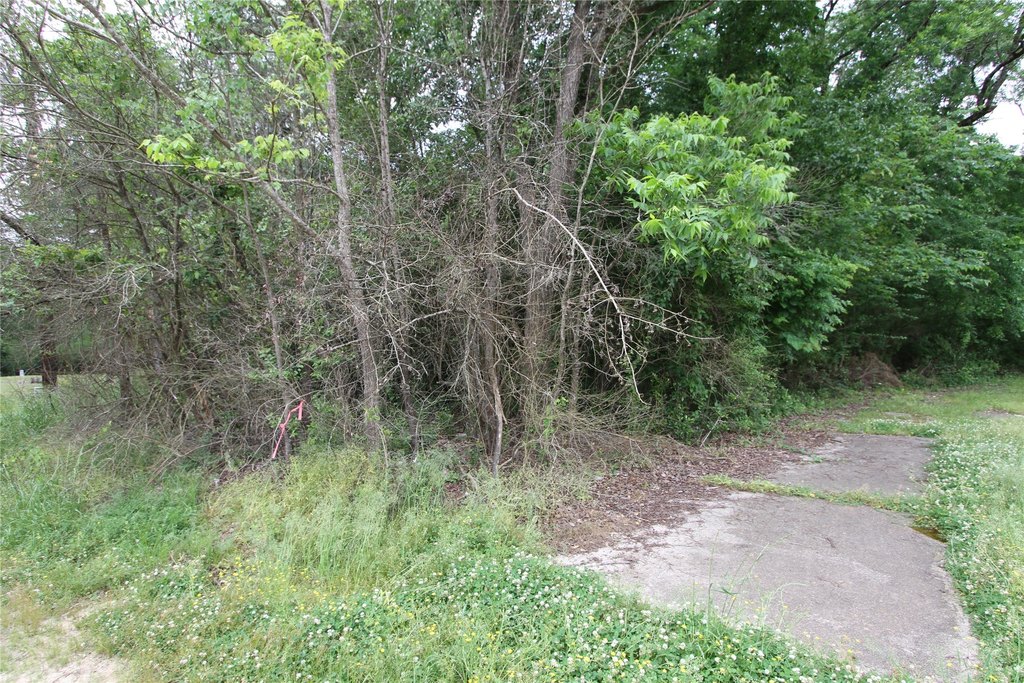 Picture 3