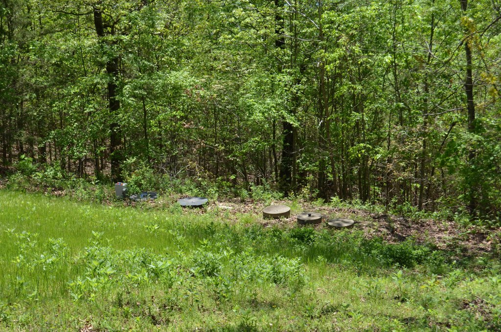 Picture 16