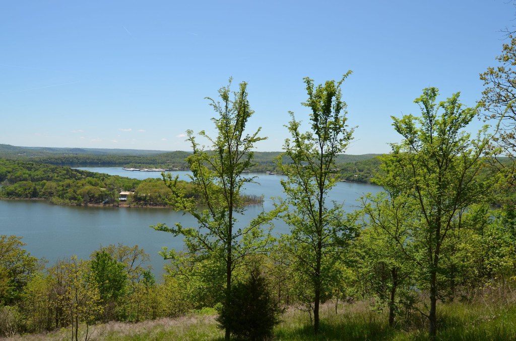 Picture 9