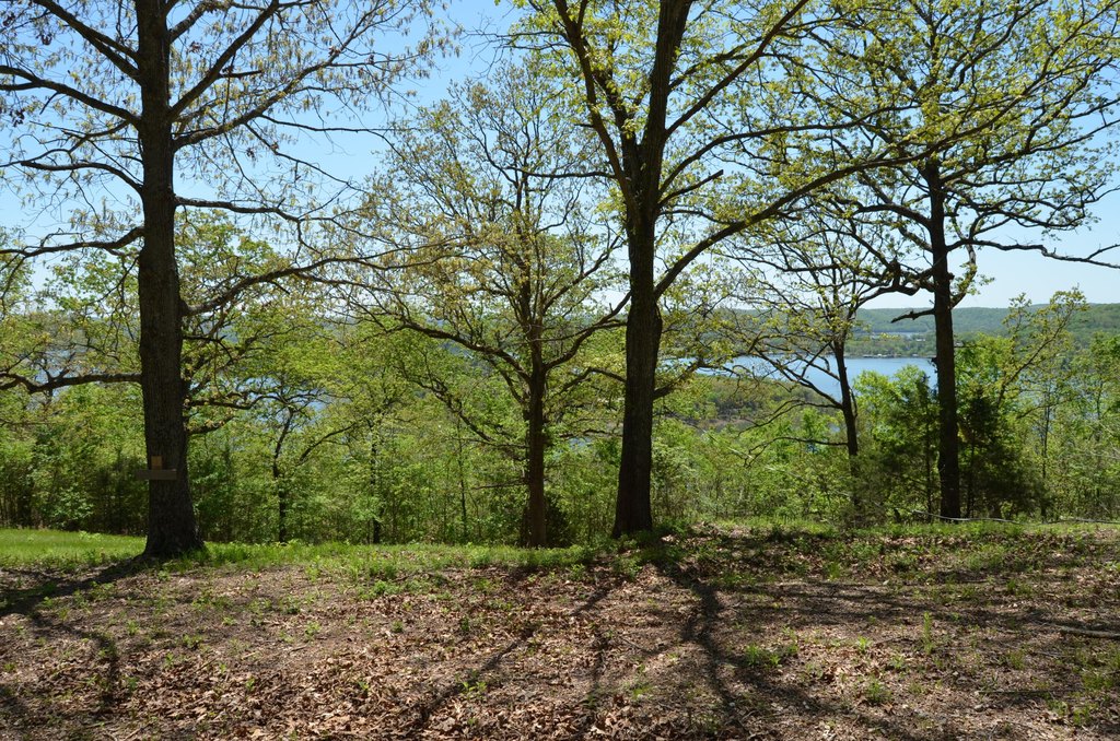Picture 14