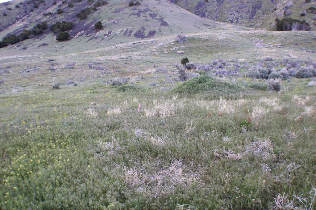 Picture 29