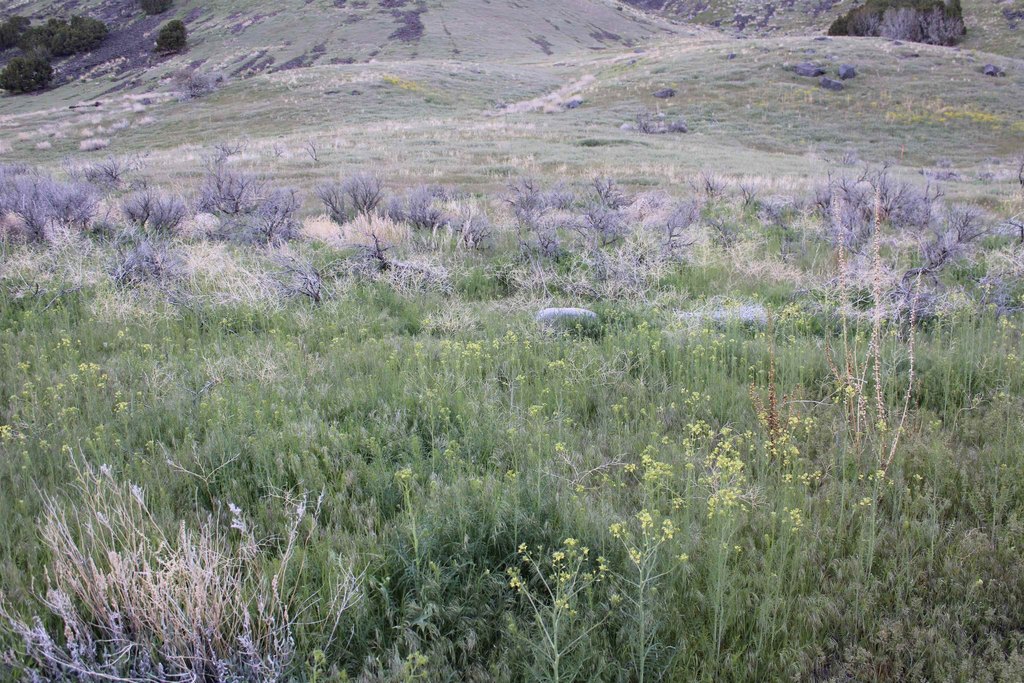 Picture 27