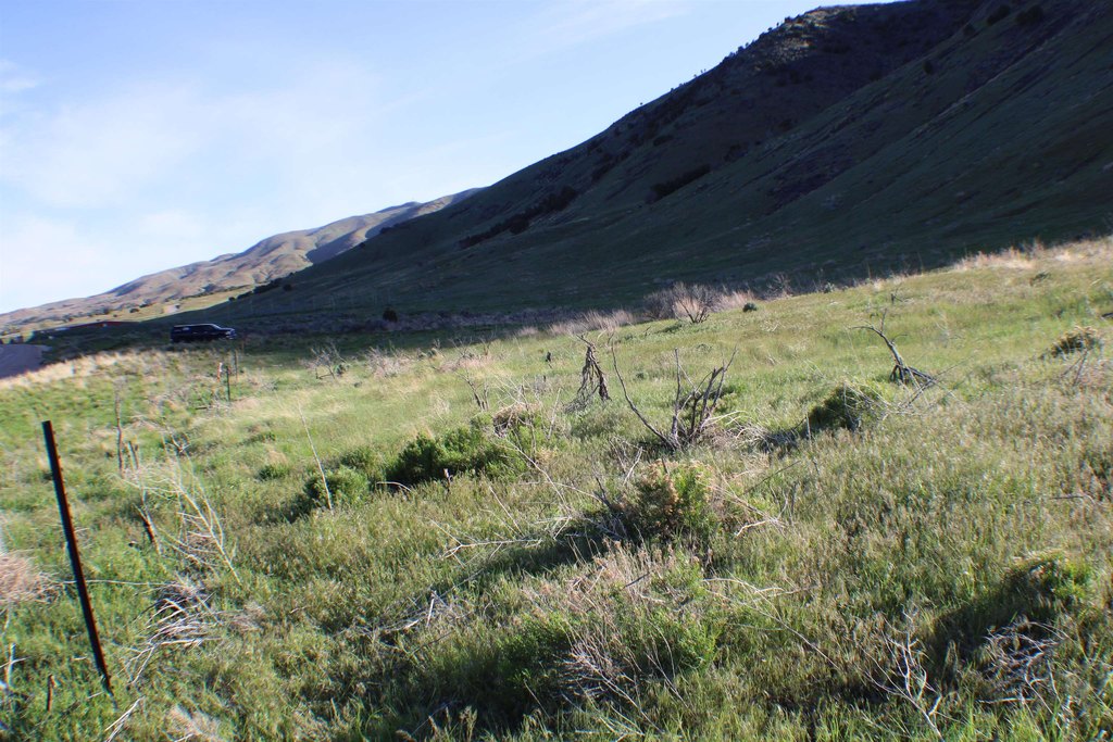 Picture 41