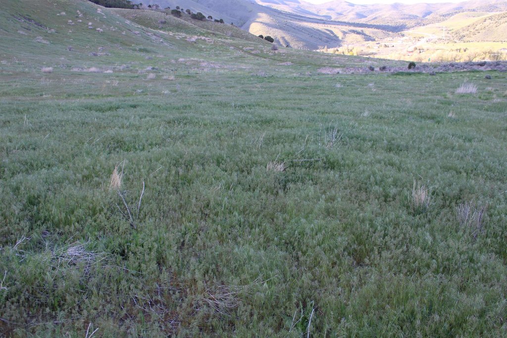 Picture 26