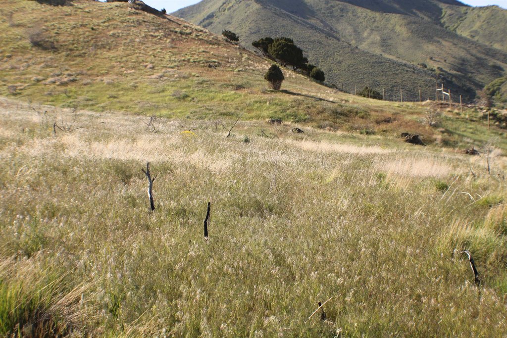 Picture 20