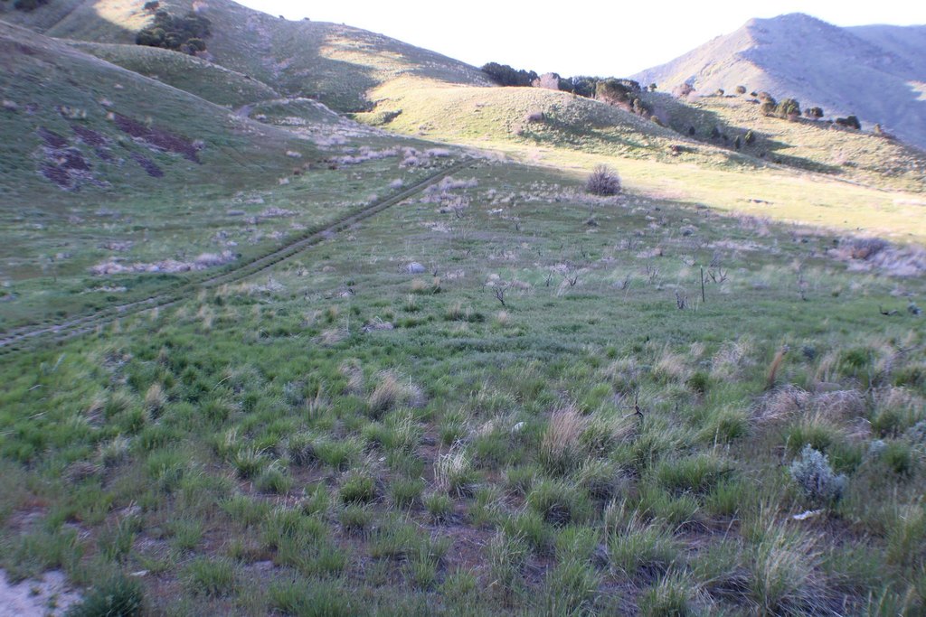 Picture 34