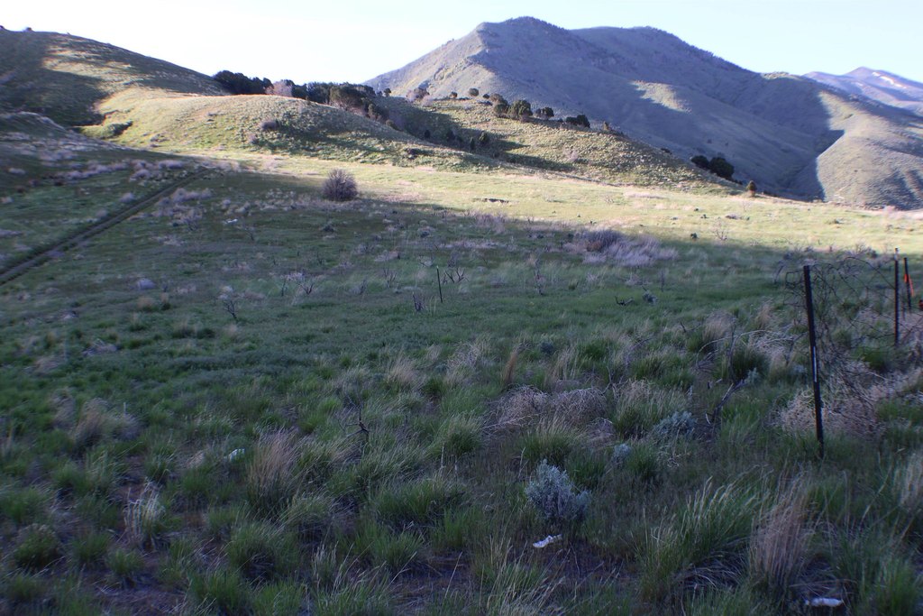 Picture 36