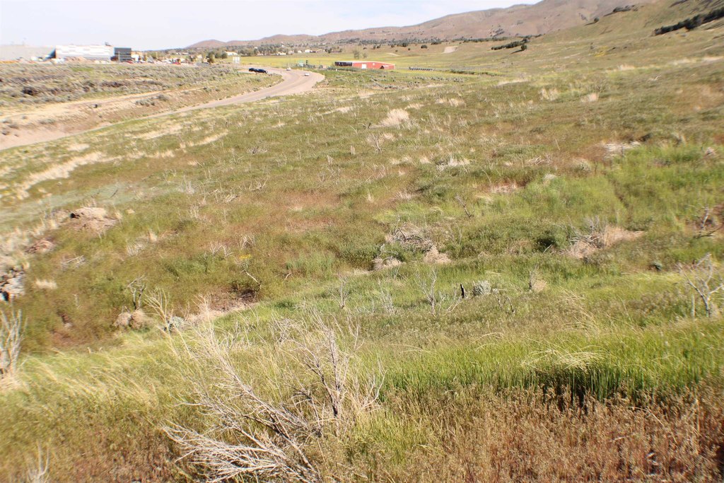 Picture 22