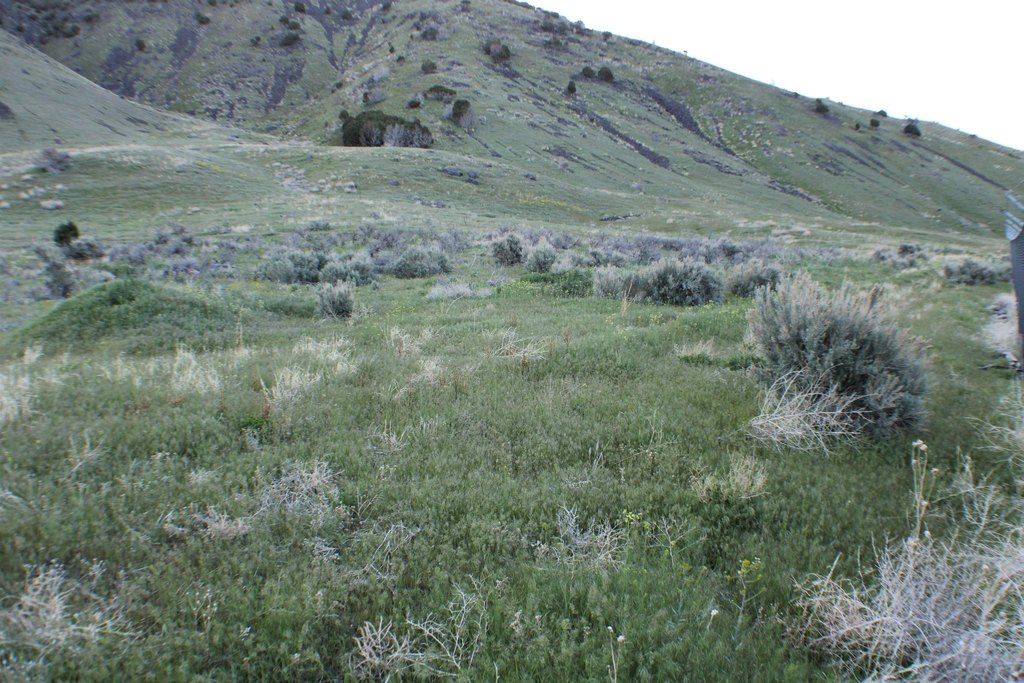 Picture 30