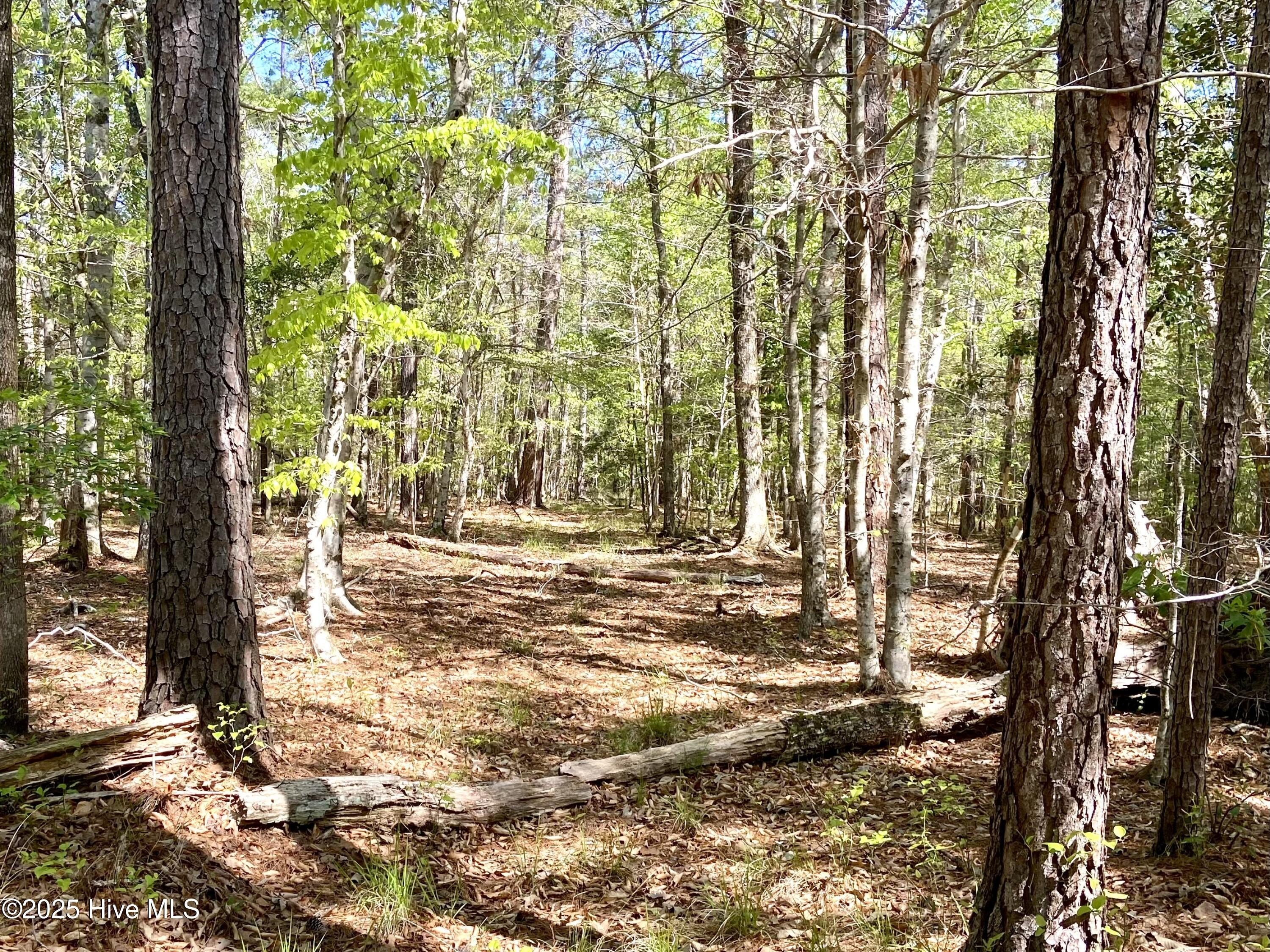 Wooded Land Ideal for Hunting