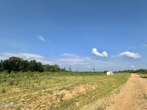 LAND - Mantee, MS