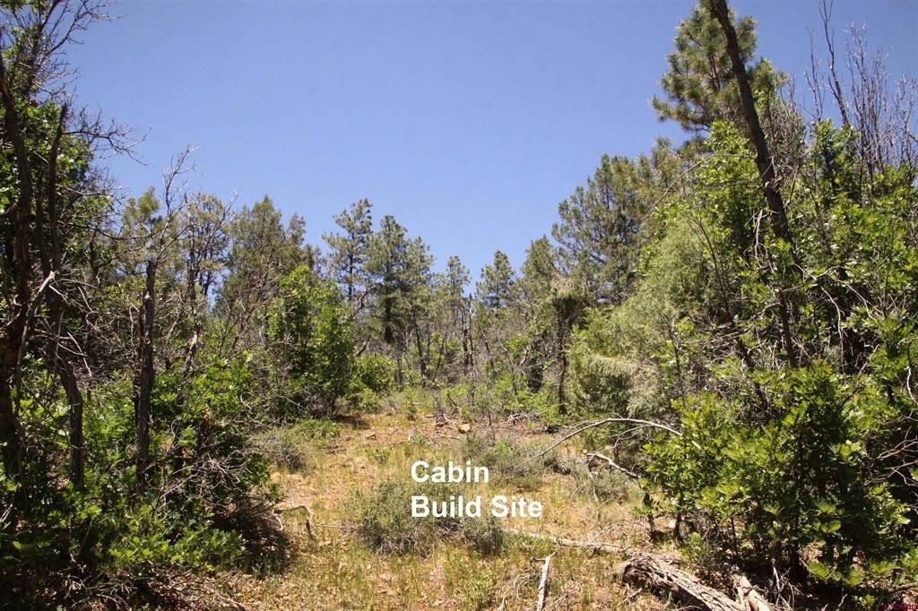 Picture 11
