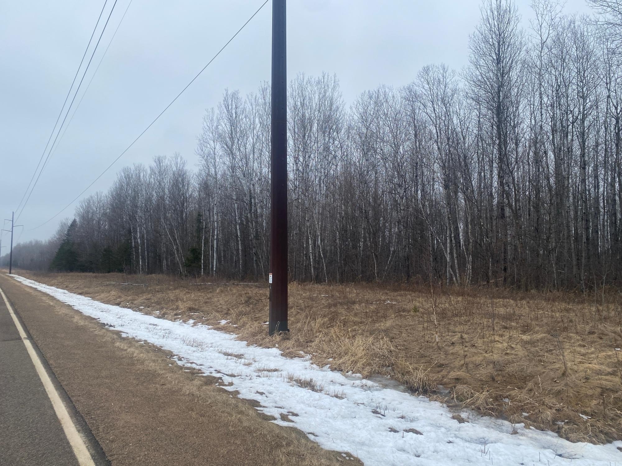 Tomahawk, WI Forestland on Highway