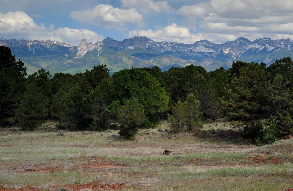 Ridgway, CO Land For Sale