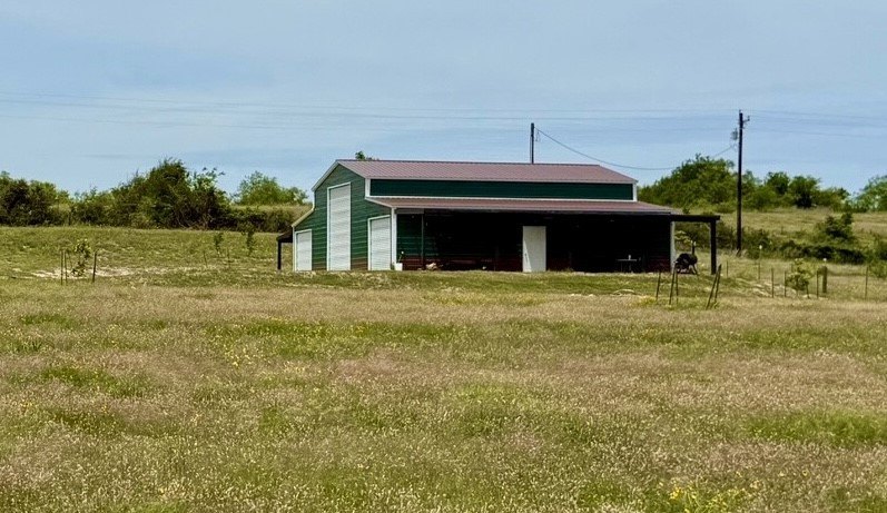 Picture 21