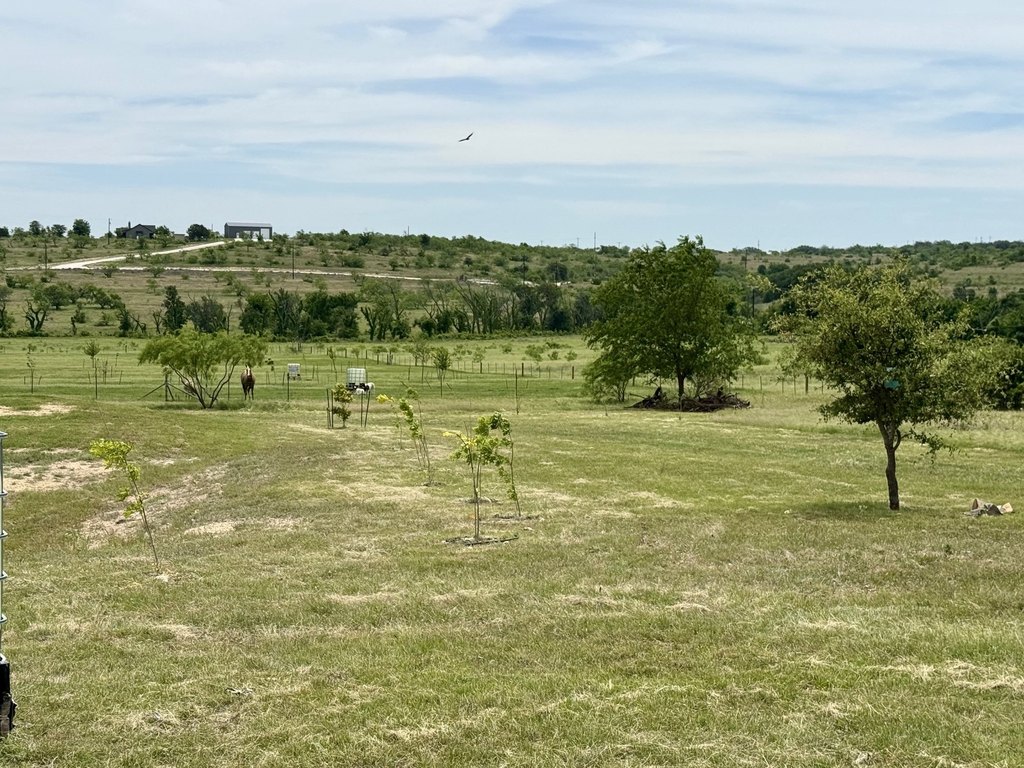 Picture 18