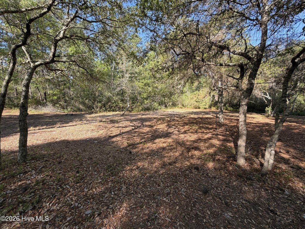 Picture 18