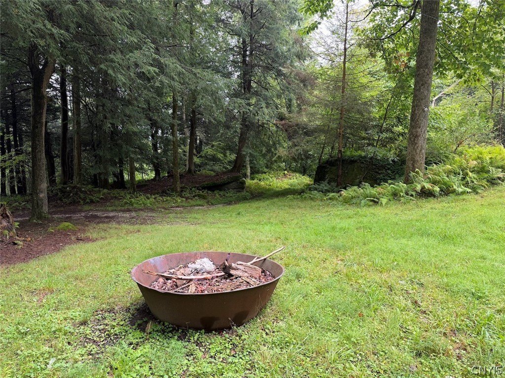 Picture 29