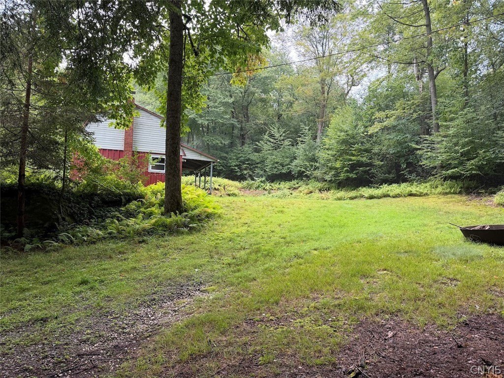 Picture 38