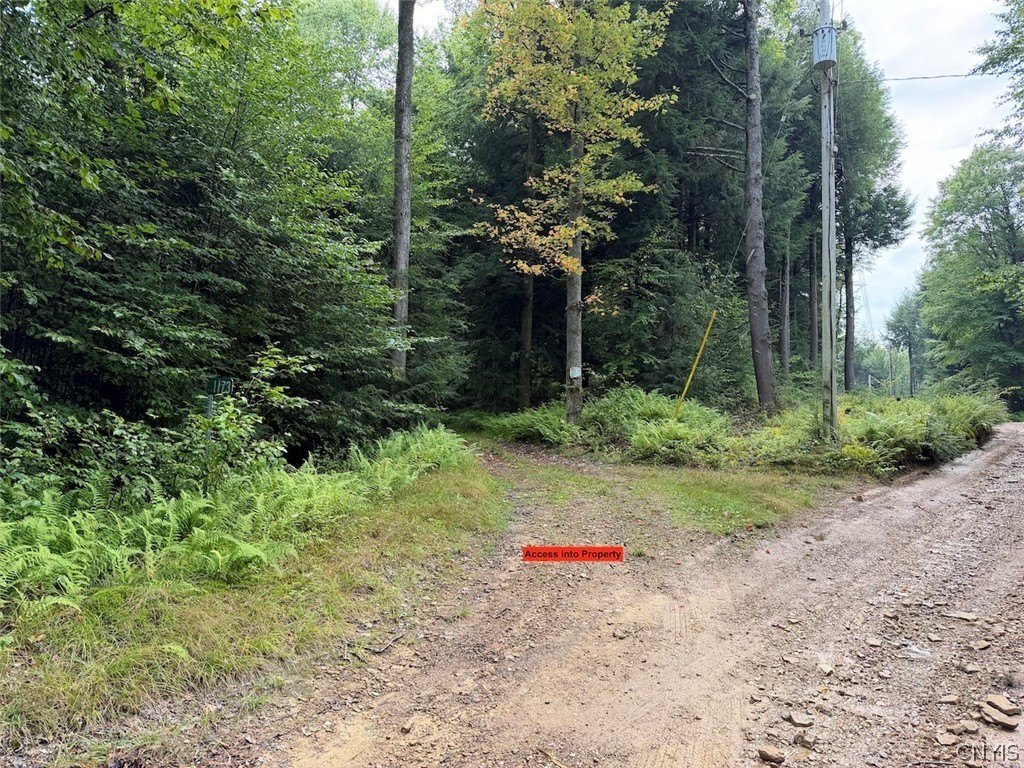 Picture 30