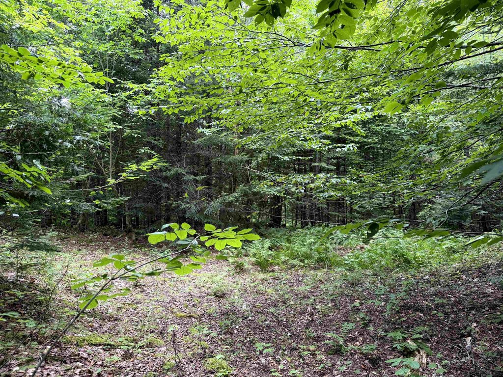 Picture 19