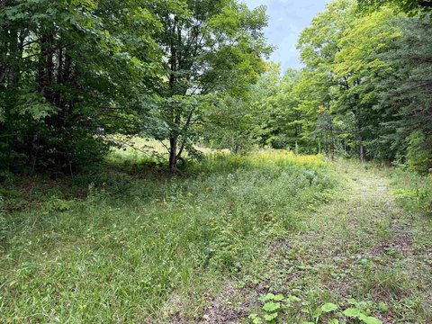 Land, Sutton, VT