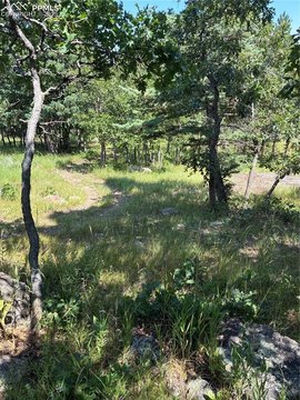 Land with City and Mountain Views