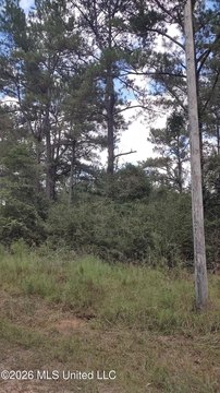 Land, Lumberton, MS