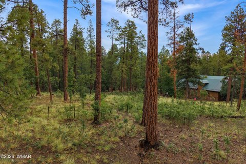 Land, Alpine, AZ