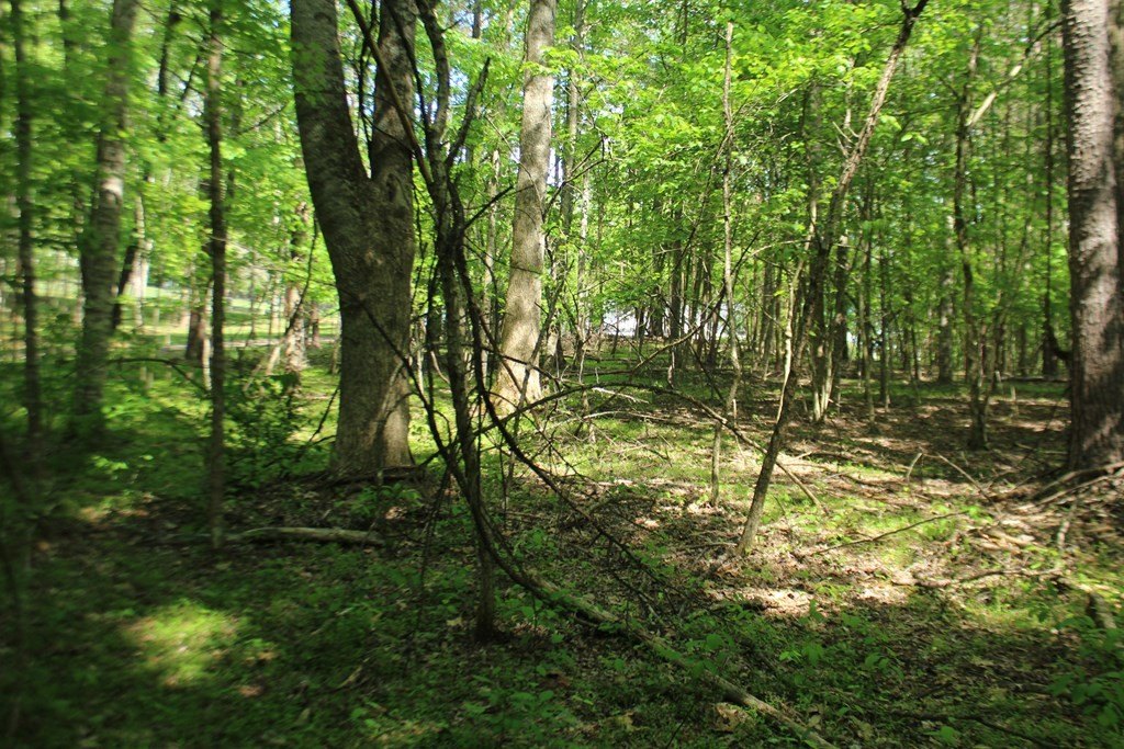 Picture 7
