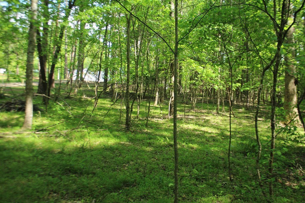 Picture 8