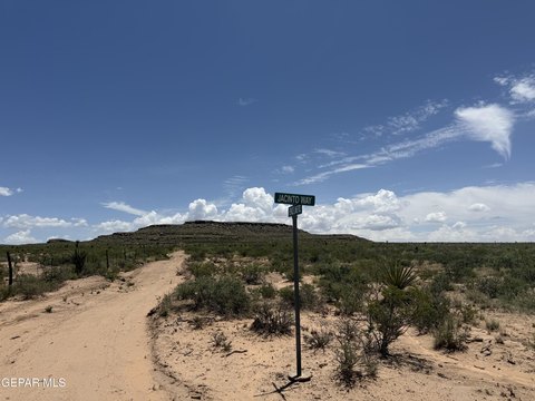 LAND - Sierra Blanca, TX