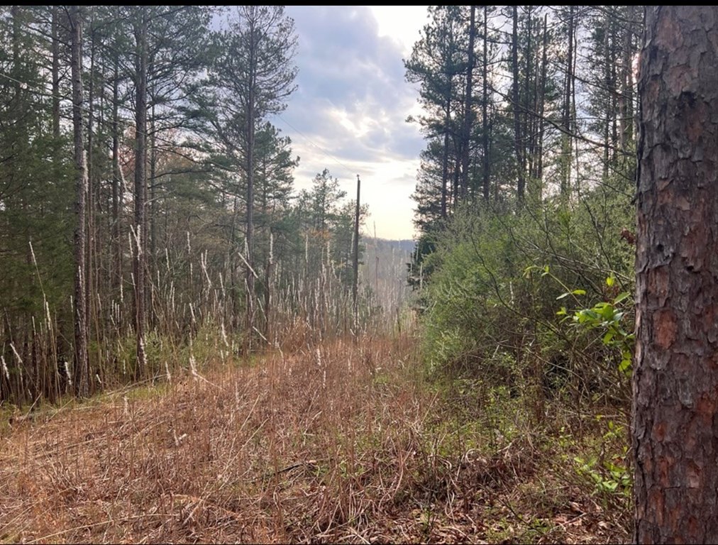 Picture 24
