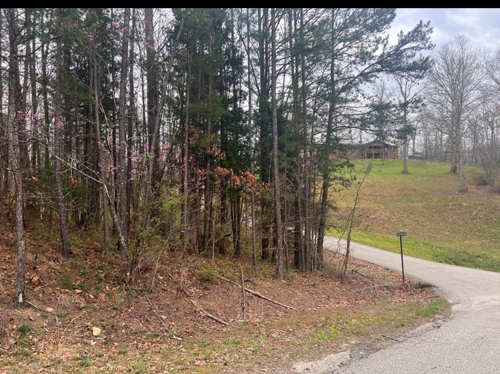 Picture 21