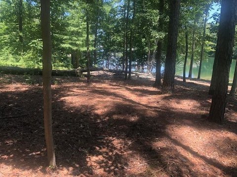 LAND - Jasper, AL